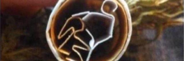 CodyJMuller's profile banner image