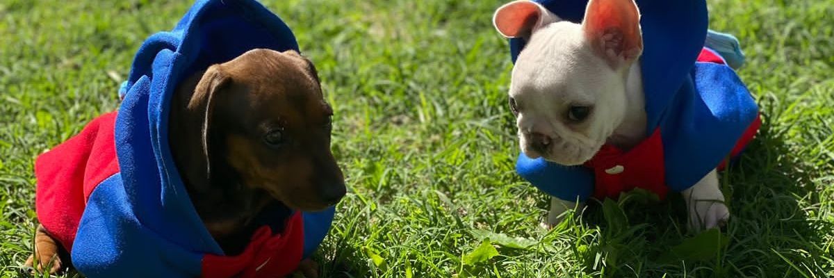 Matyy_zapata's profile banner image