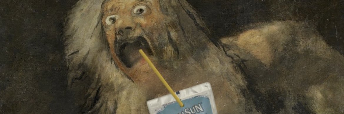 Nikki banner