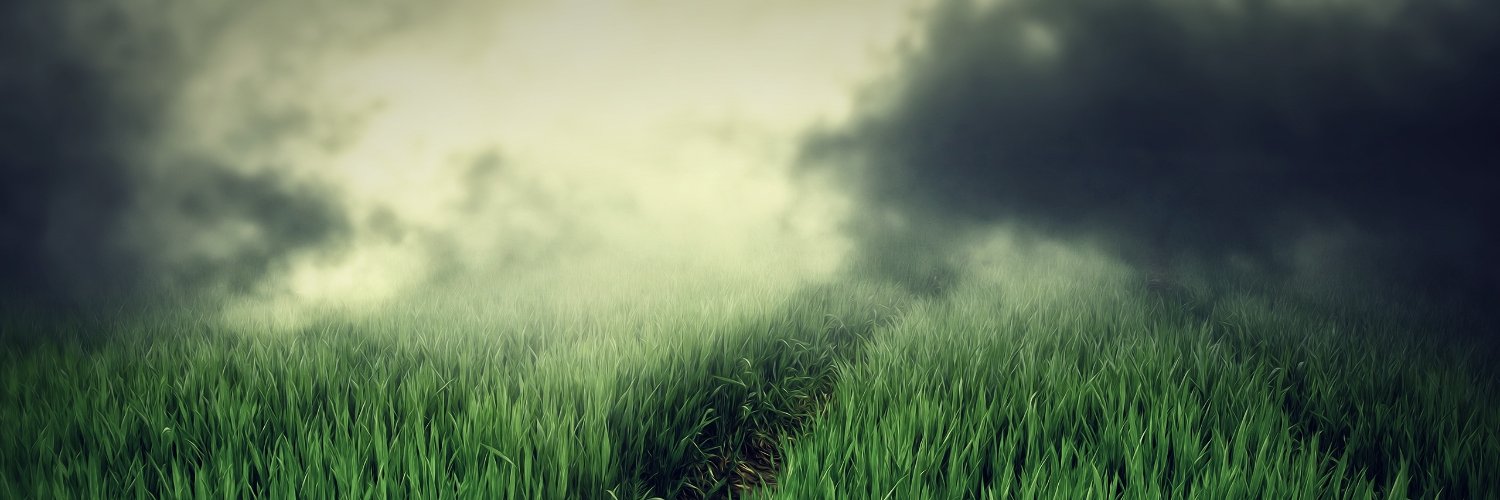 RadikMiniarov's profile banner image