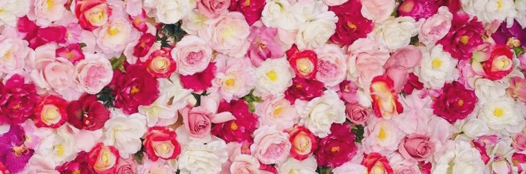 sogupdates's profile banner image