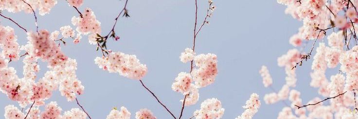 fabiolacostag's profile banner image