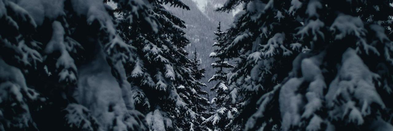 dilek_aga's profile banner image