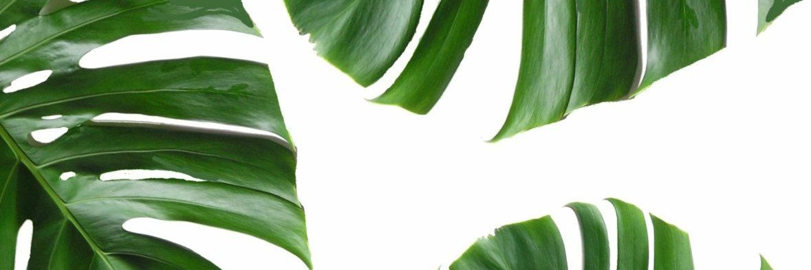 KarymeTld's profile banner image