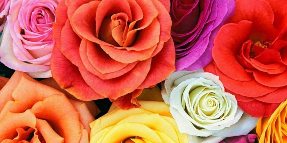 15Mariact's profile banner image