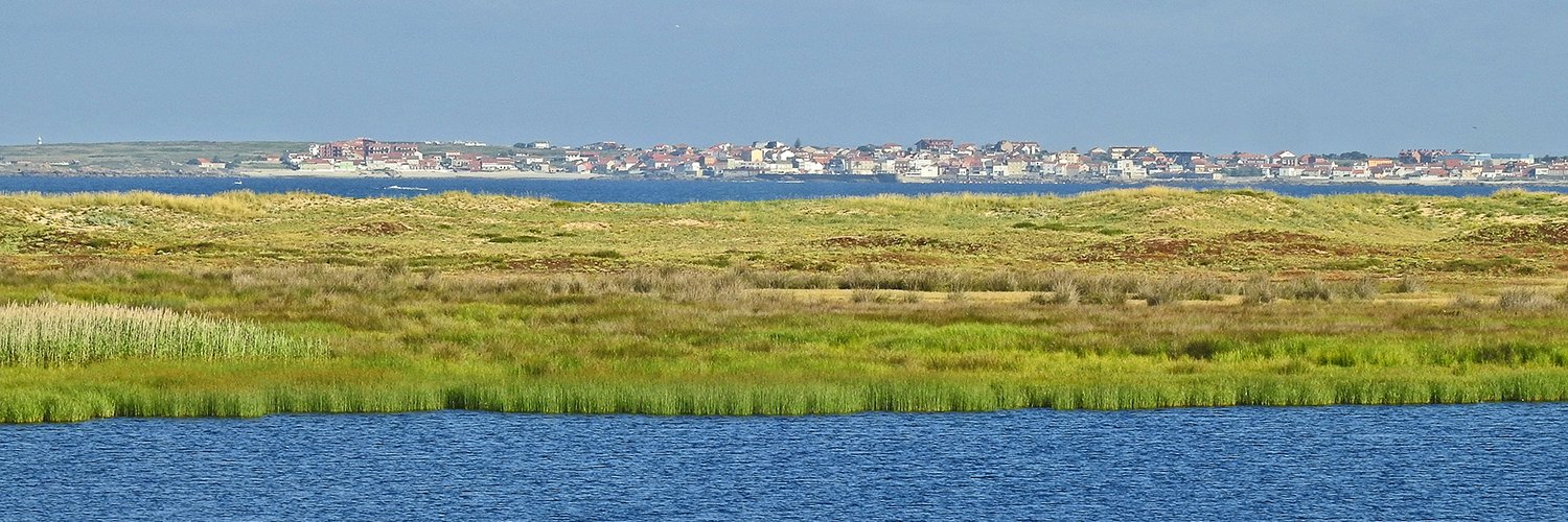 Altermundo. Manoel Santos banner