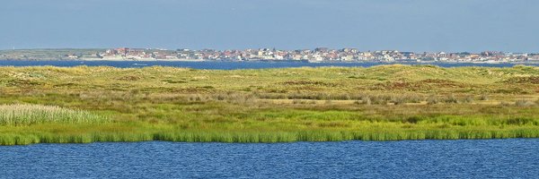 altermundo Profile Banner