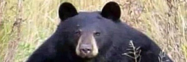 aaroNNNcs Profile Banner