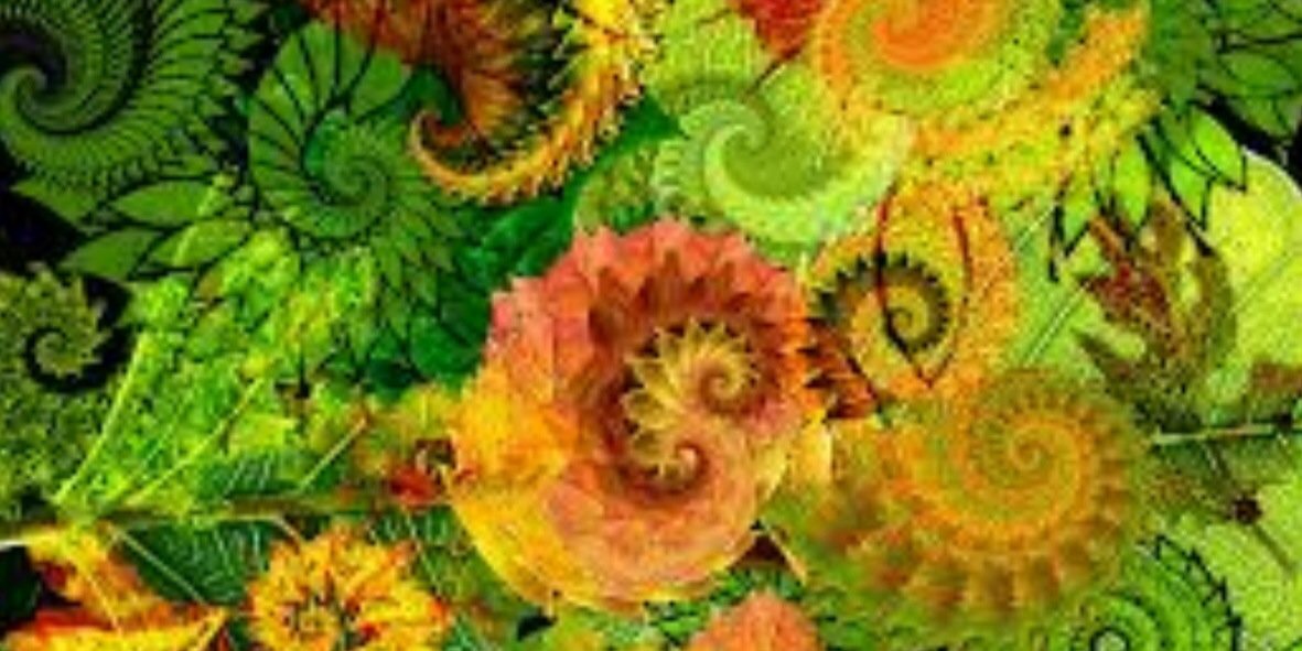 BasoloKaryn's profile banner image