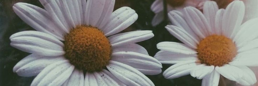 esloca00's profile banner image