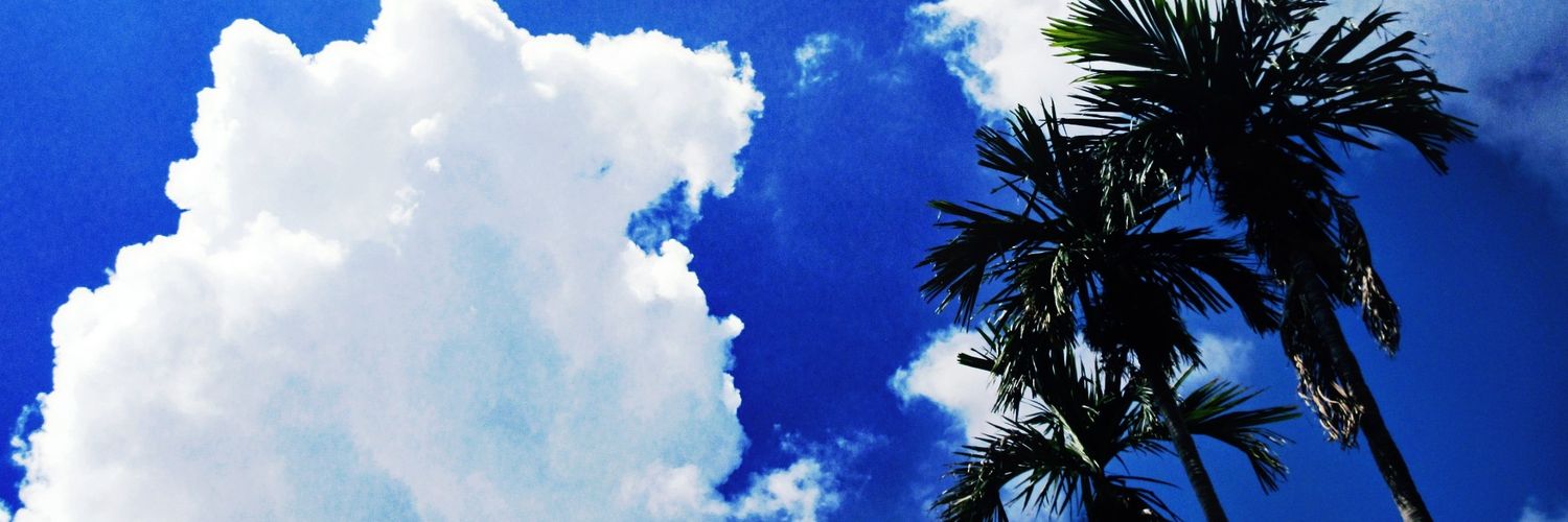 molay07's profile banner image