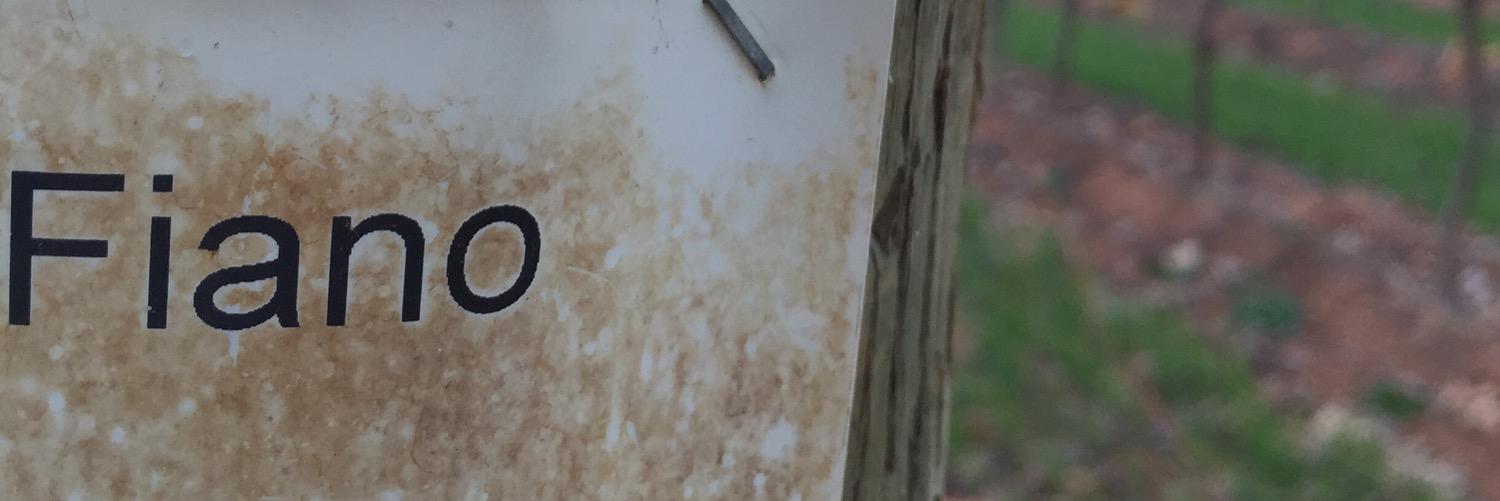 dirtyblackdenim's profile banner image