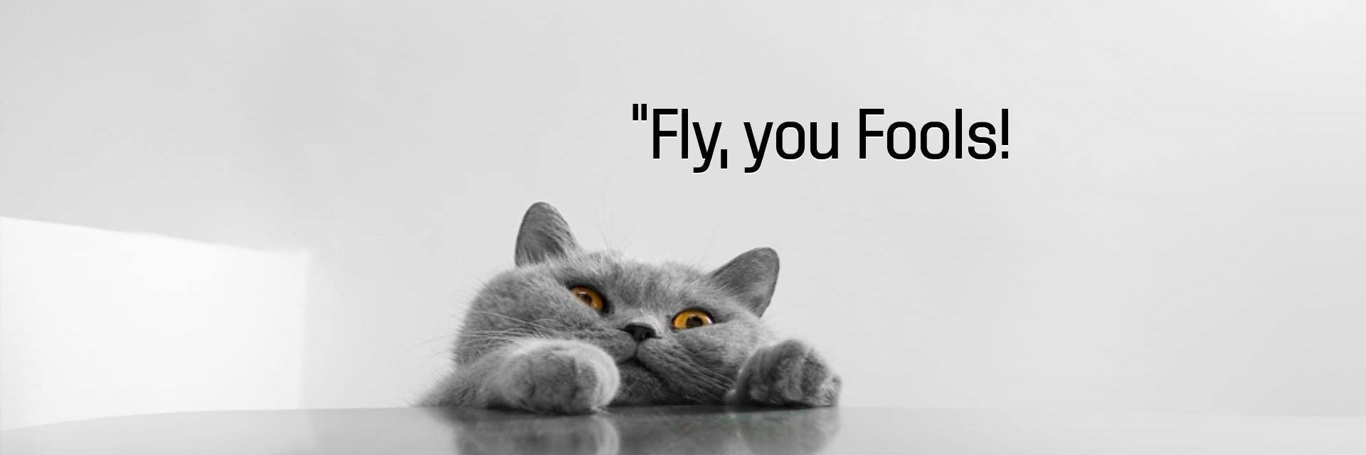 mistr_engineer's profile banner image