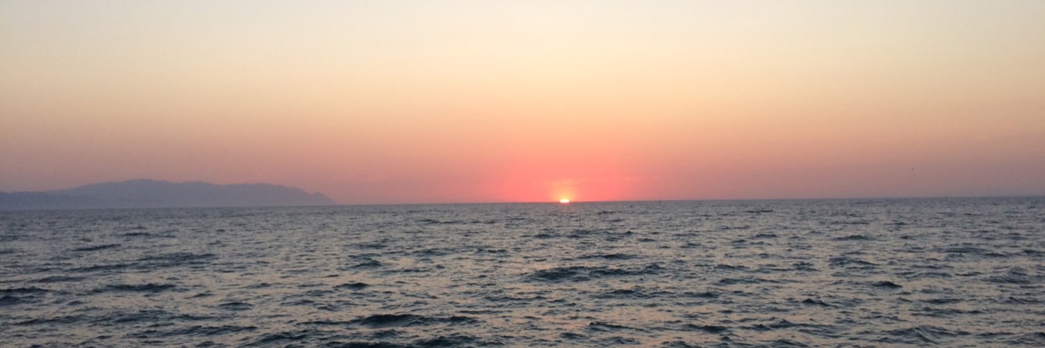 SelenCoskuner's profile banner image