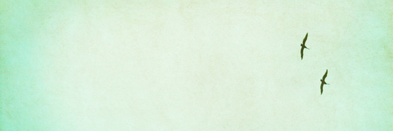 Isabel_Rodilla's profile banner image