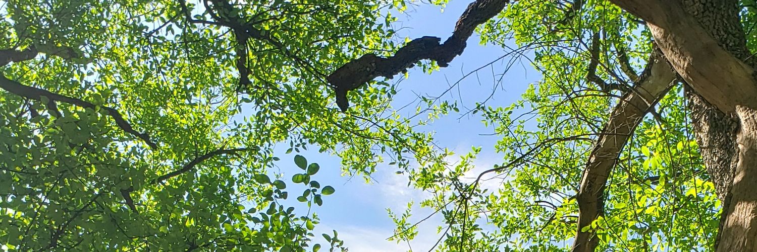 mpsg0211's profile banner image