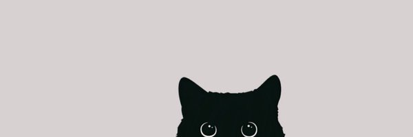 spinners Profile Banner