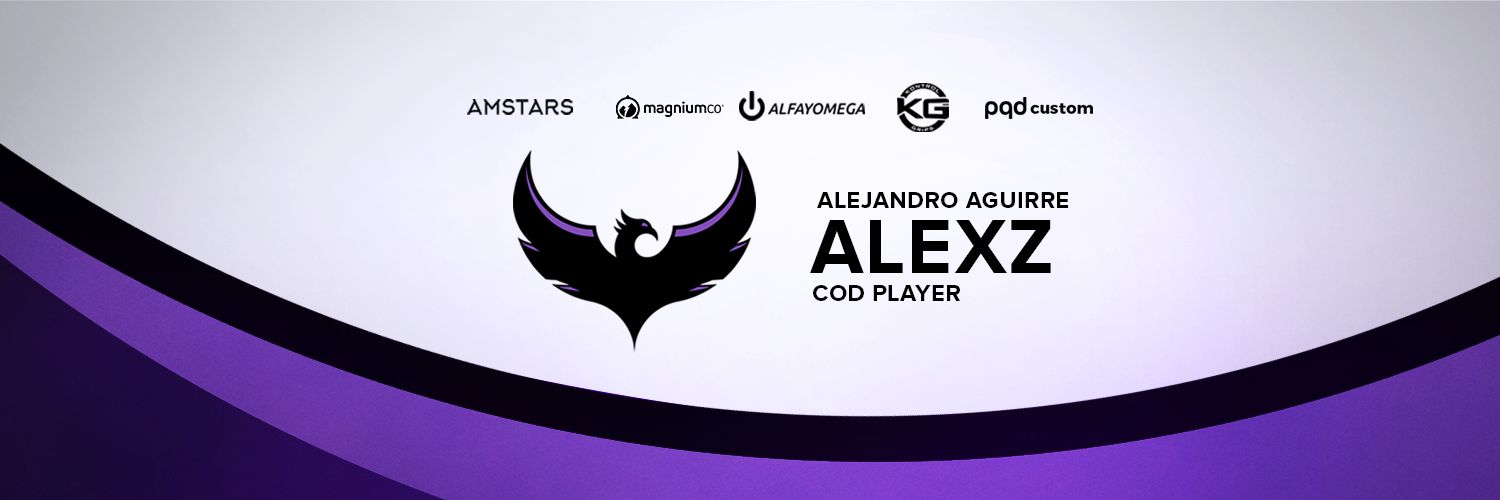 AleeexZMVP's profile banner image