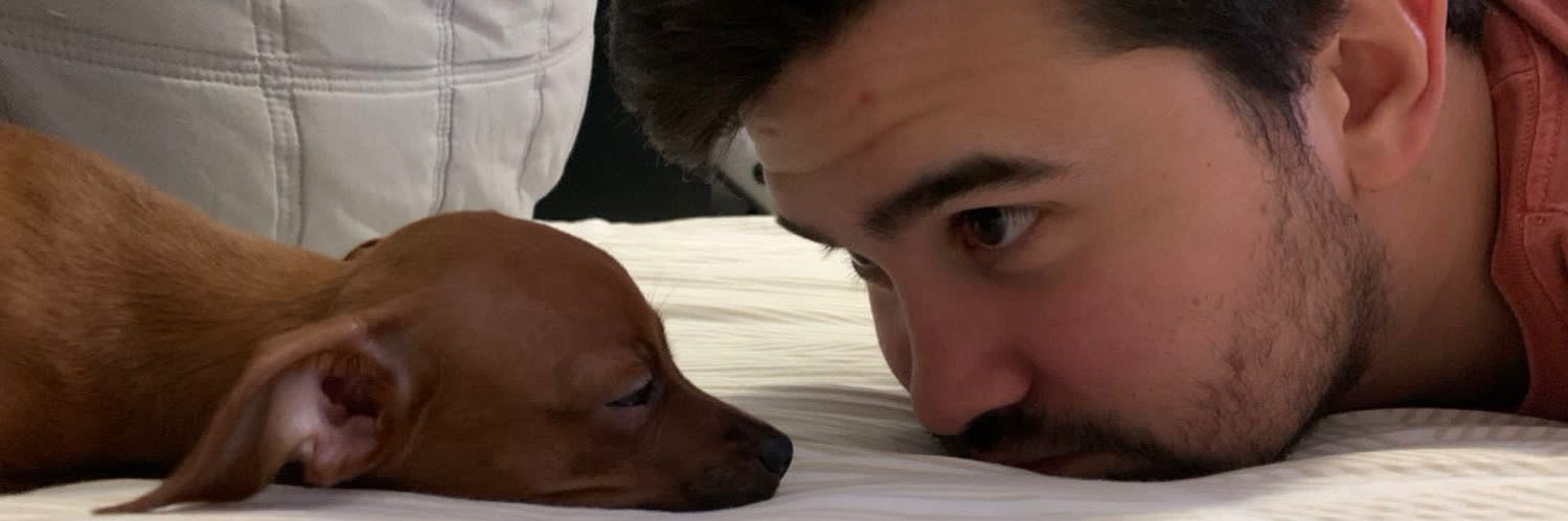 pedrovborgesp2's profile banner image