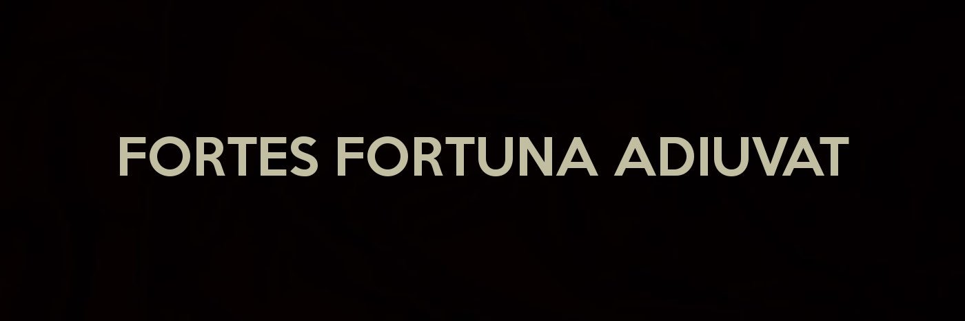 AliGadora's profile banner image