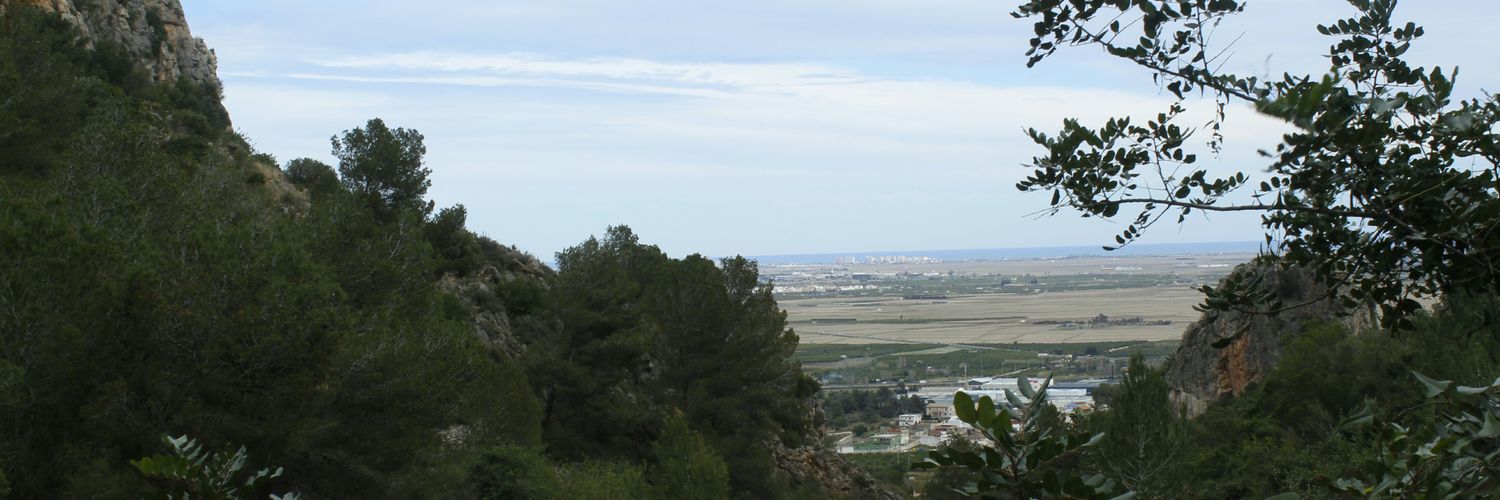 Dony_Journalist's profile banner image