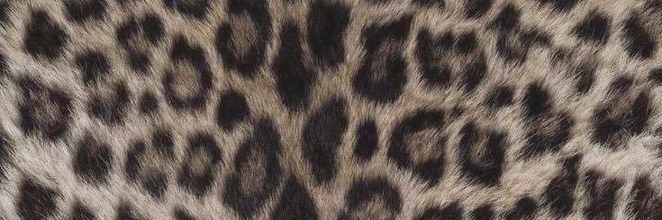 milena_alks's profile banner image