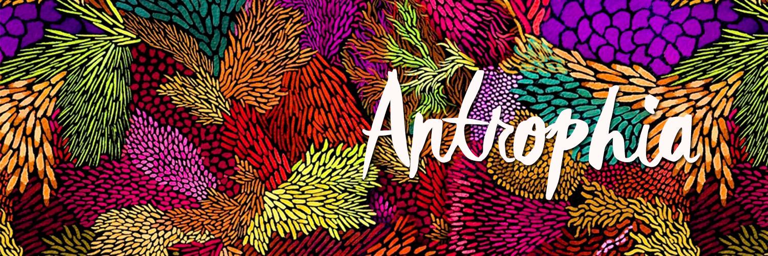 Antrophia Artesanía banner