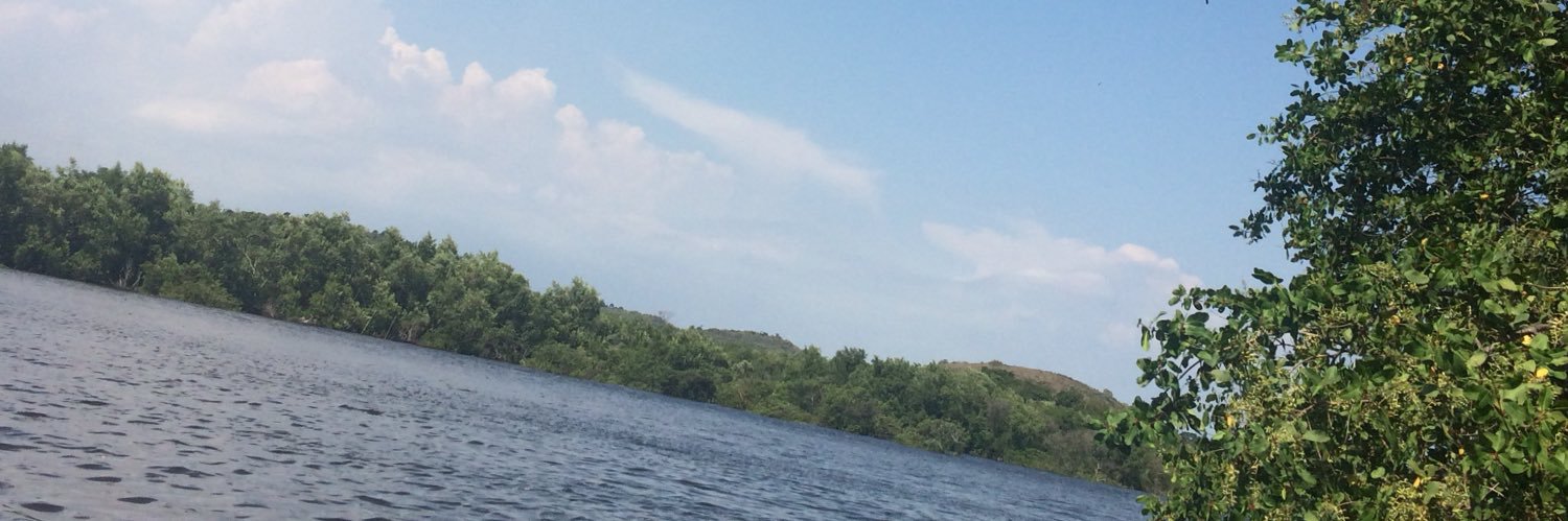 annecotta88's profile banner image