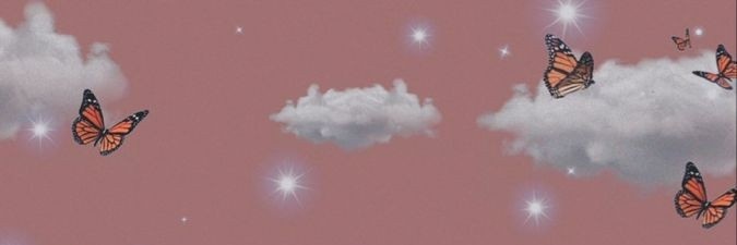 sofiace24's profile banner image
