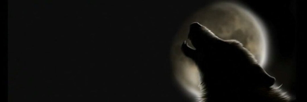 sguney_006's profile banner image