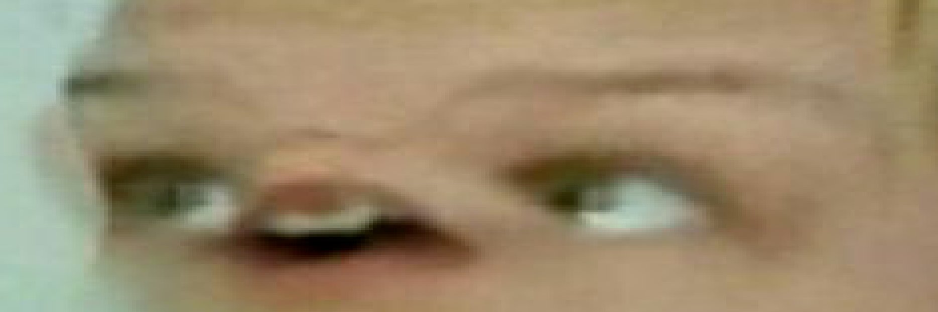 Lewissaur's profile banner image