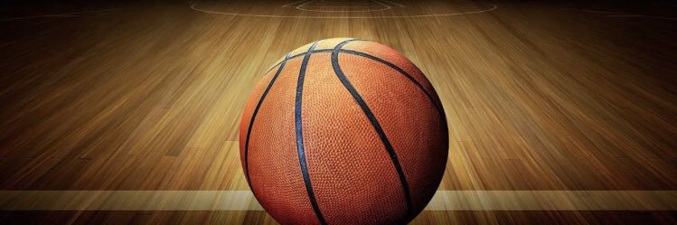 Indiana Elite Force 🏀🐍 banner