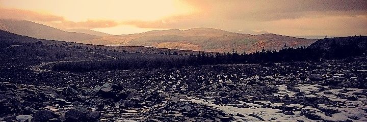 lisa_suth's profile banner image