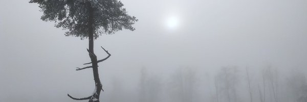 DmitryKovalchuk Profile Banner