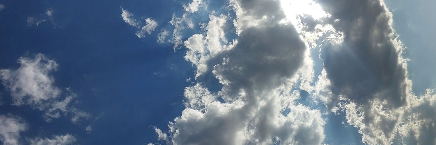 wisesimsek's profile banner image