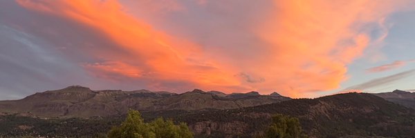 aracely_anto Profile Banner