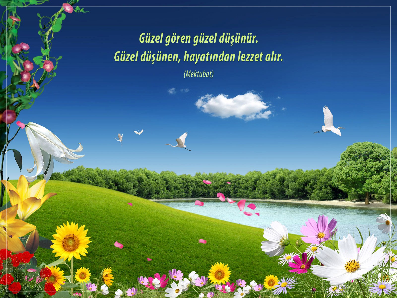 abdullahhadim's profile banner image