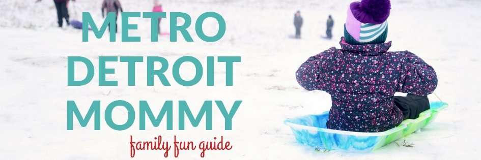 Metro Detroit Mommy banner