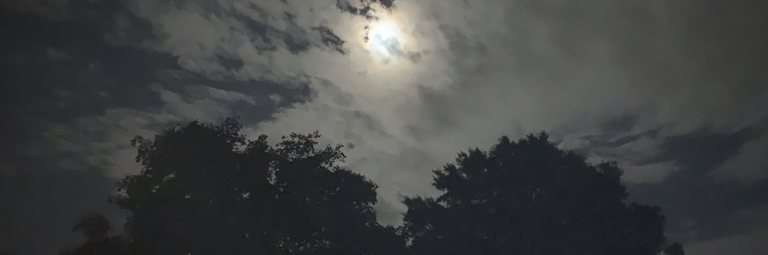 quap1x's profile banner image