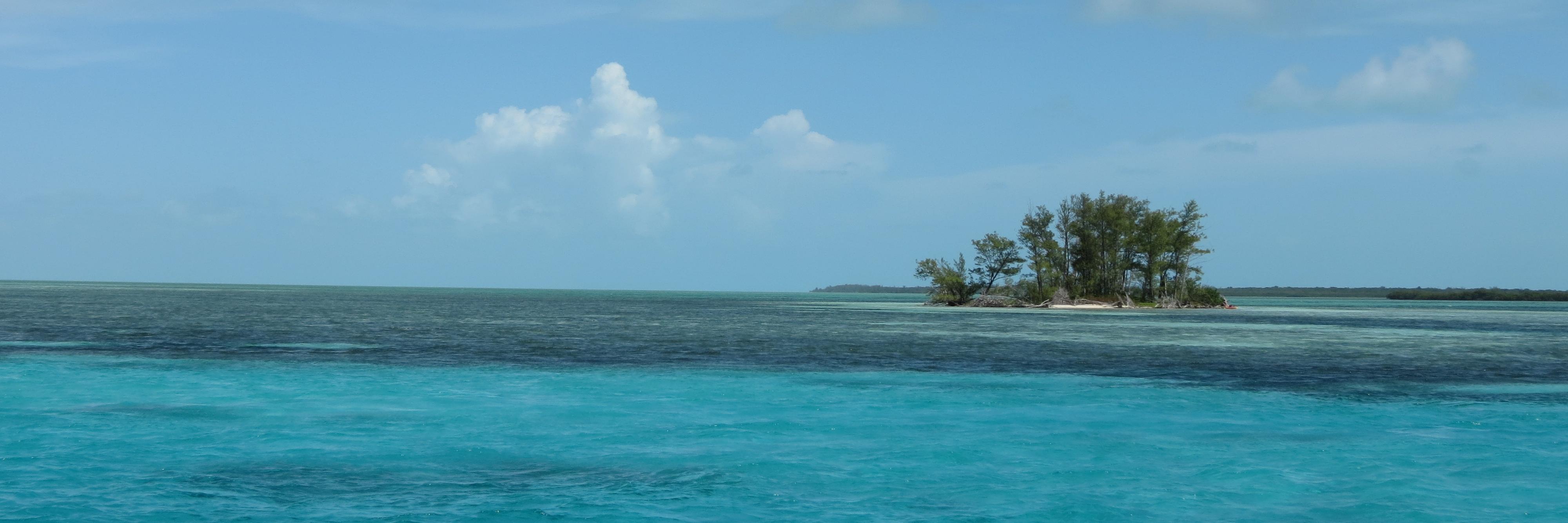 Dr. Laura Eierman banner