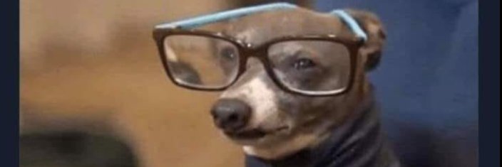 bulbassauro de casaco banner