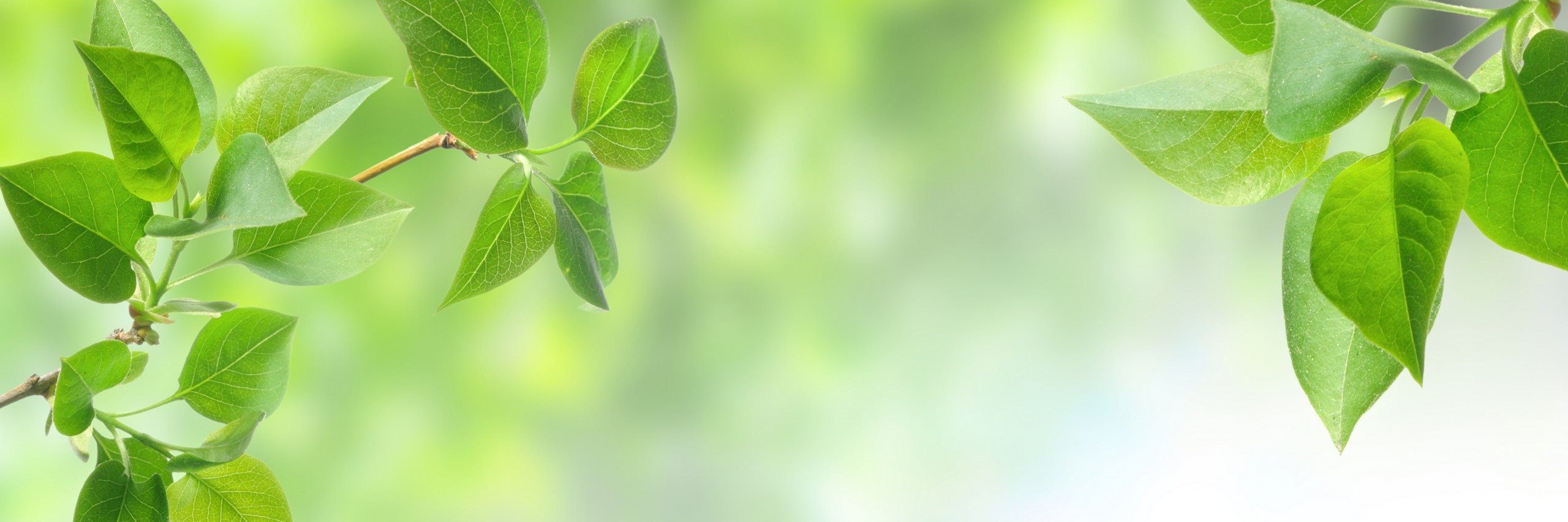 LauraOldaker's profile banner image