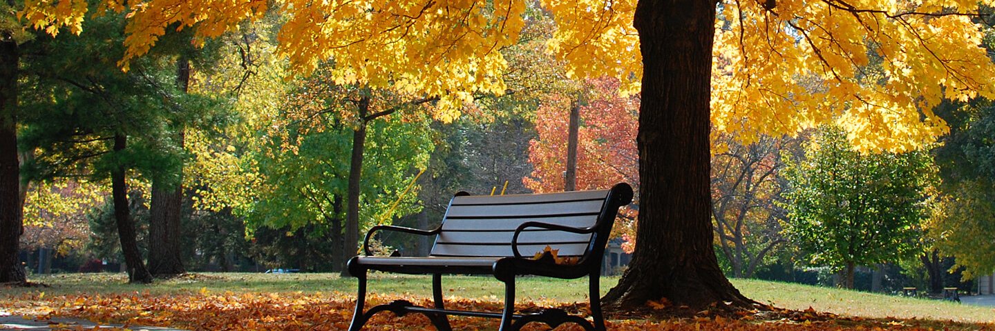 Upper Arlington Community Foundation banner