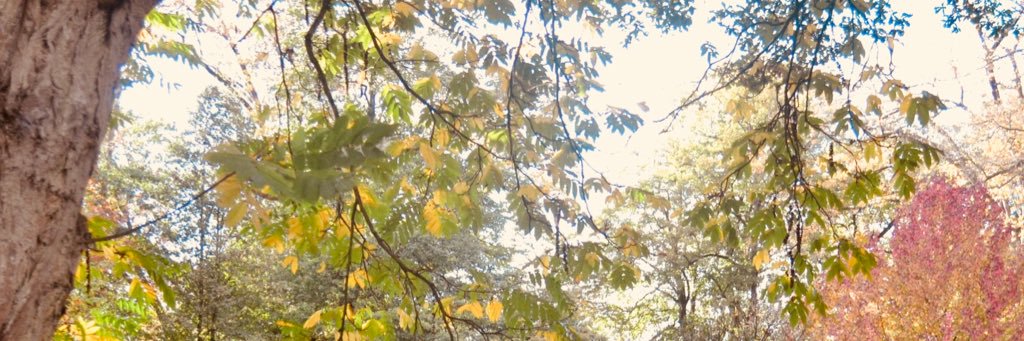 SteffiGhys's profile banner image