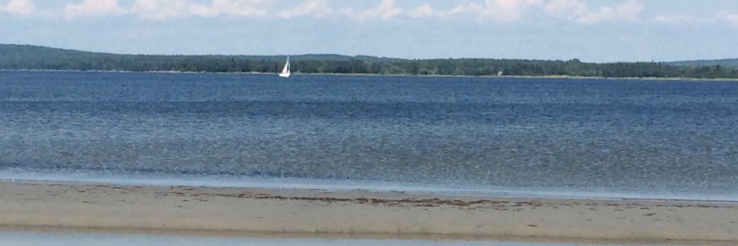 Ocean banner
