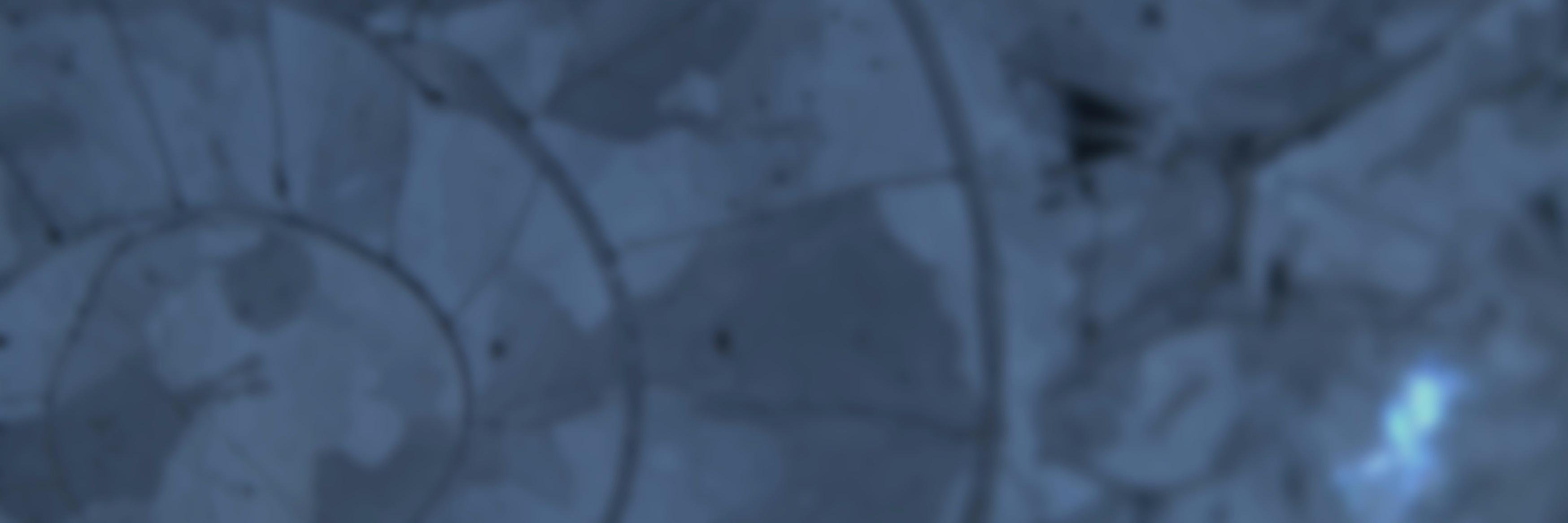 Dr. Ben Linzmeier banner