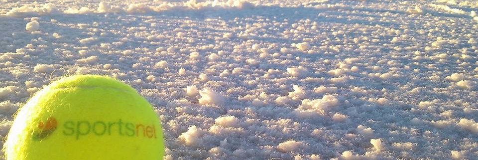 domingo sportsnet banner