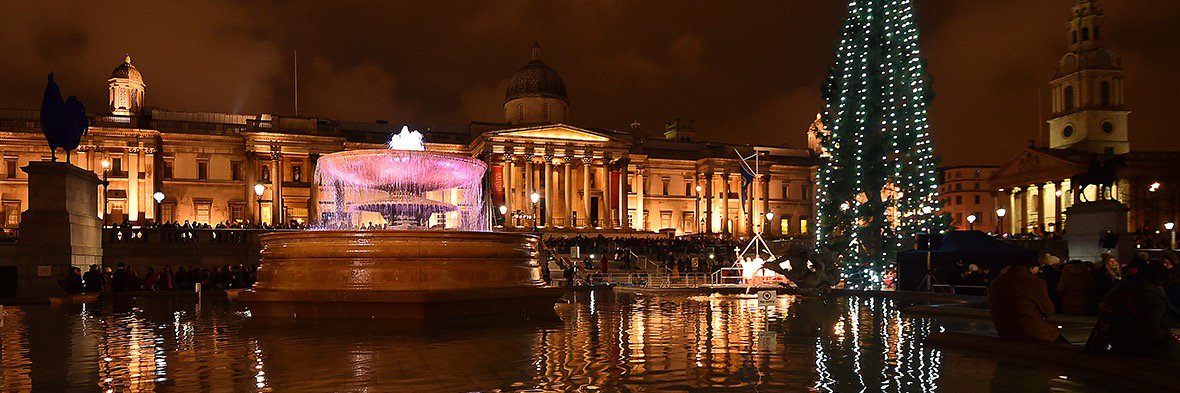 Trafalgar Tree banner