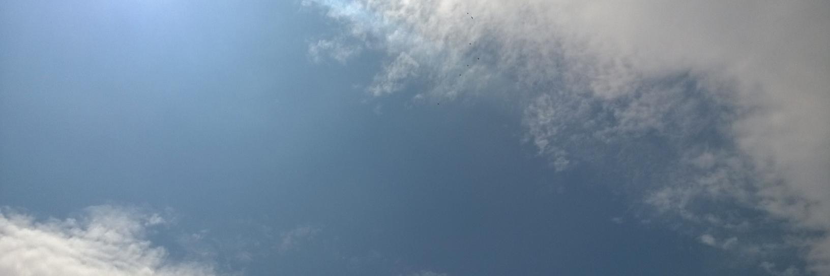 Brightlink Learning banner