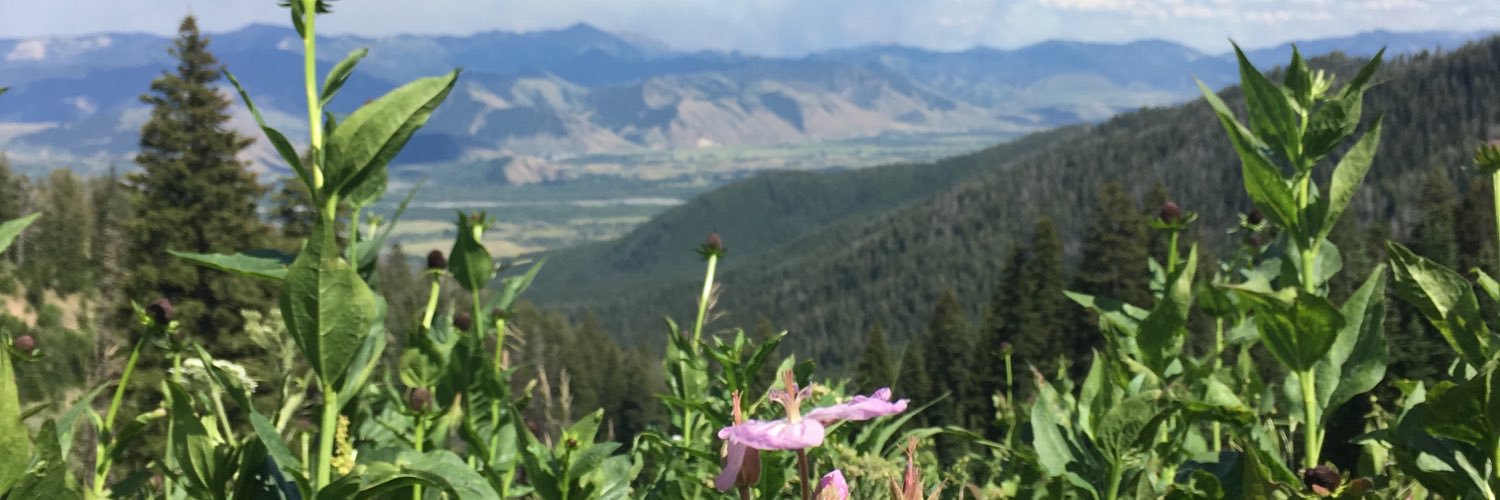 Position_3's profile banner image